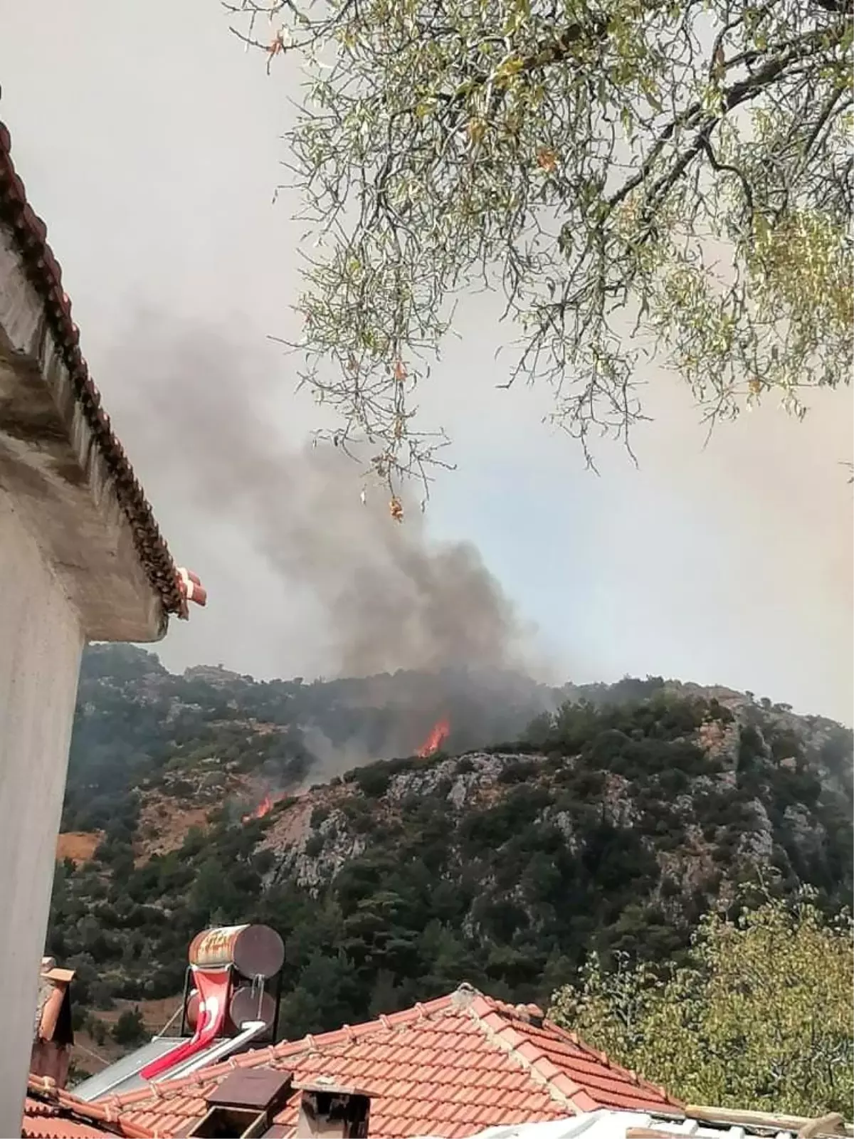 Muğla’da Ormanlık Alanda Yangın Çıktı