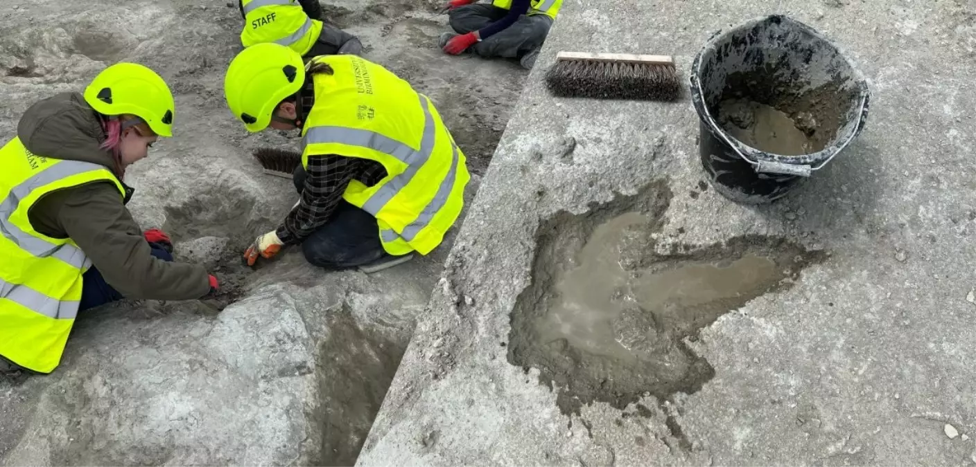 İngiltere’de 166 Milyon Yıllık Dinozor Ayak İzi Keşfedildi